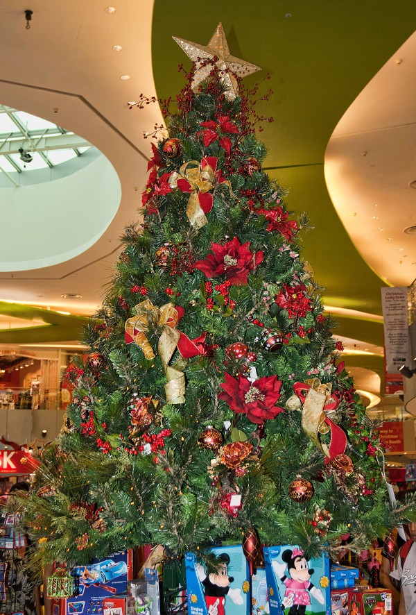 Tree in Mall